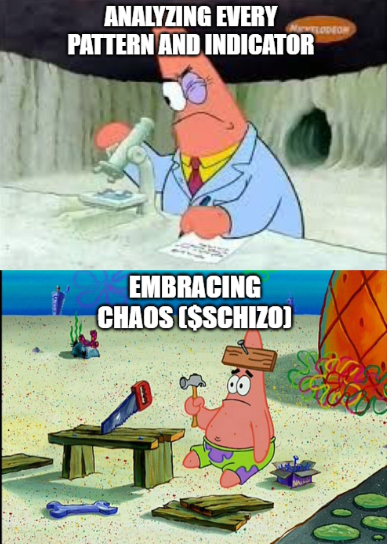 SCHIZO SIGNALS tweet media