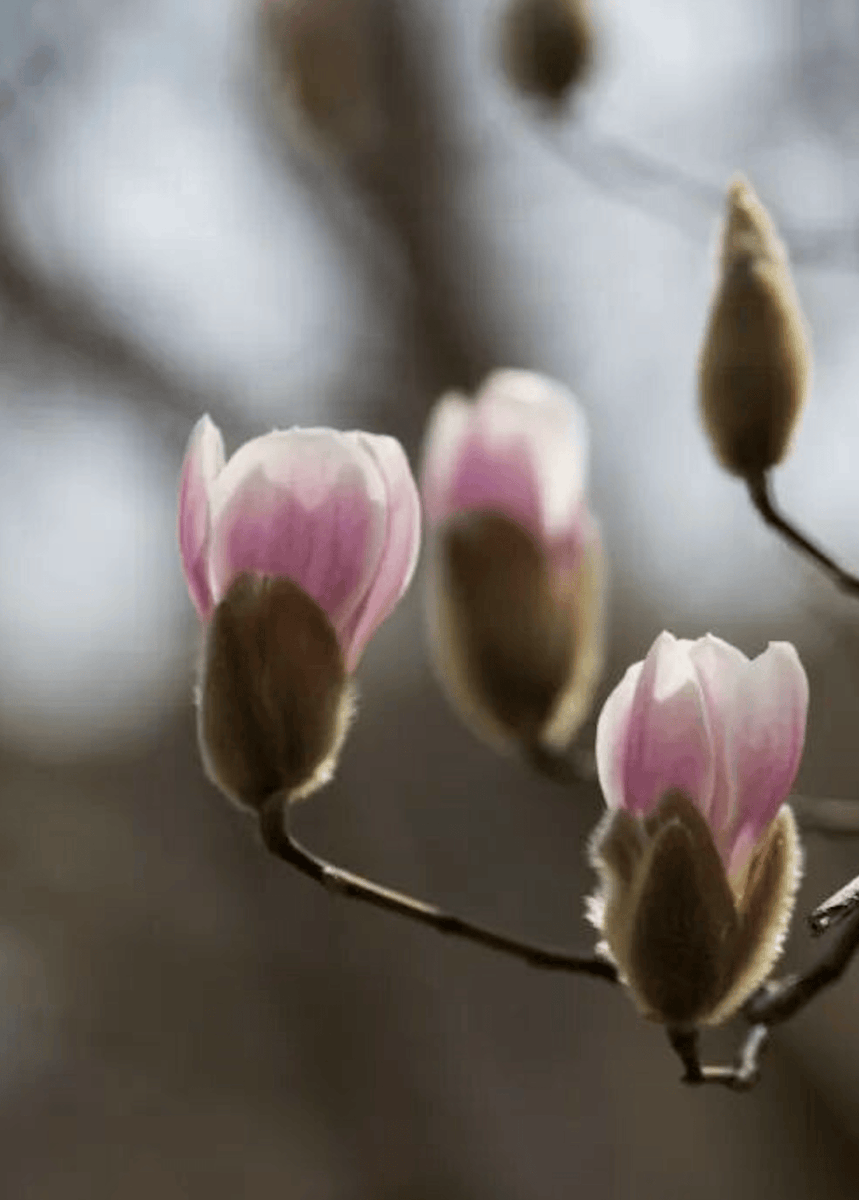 Alex Mercadillo tweet media