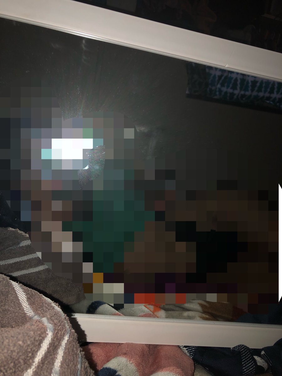 Bunny bee tweet media