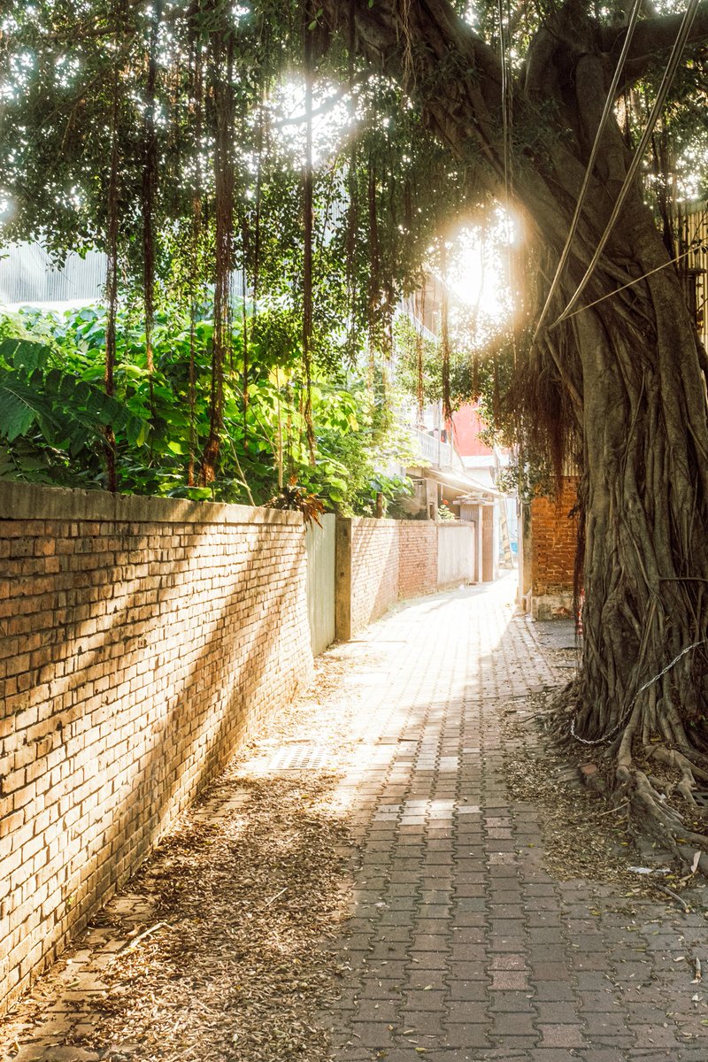 Fujio Akimoto tweet media