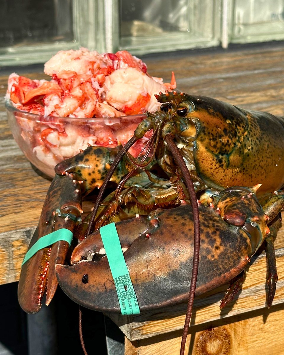 ProFish Seafood tweet media