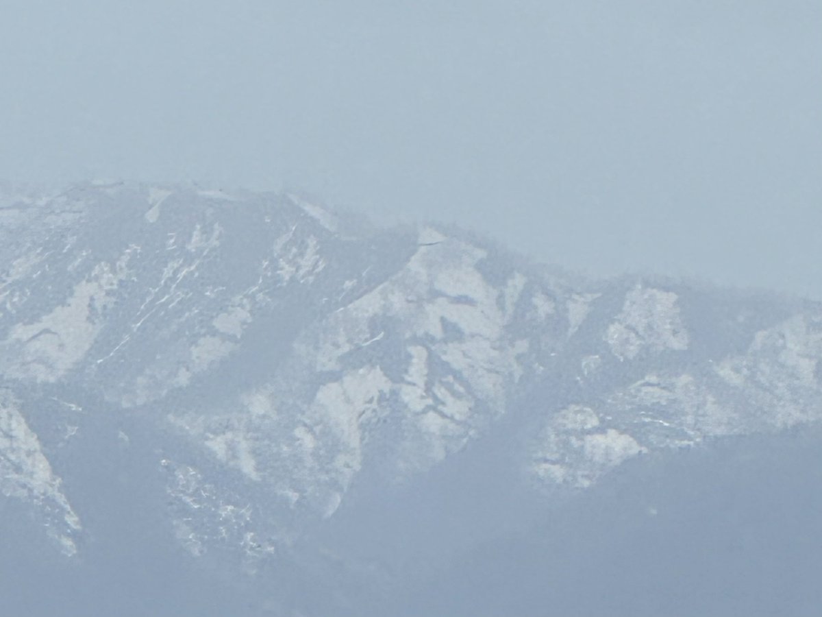 精神科医Dr.Snowman 〜Since 2010〜 tweet media