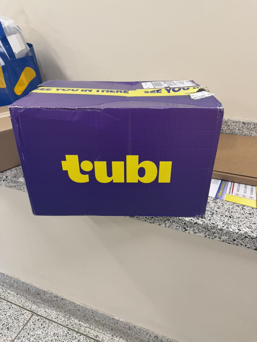 ottiebear tweet media