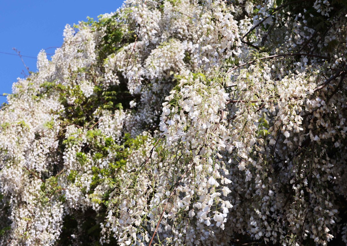 片柳弘史 tweet media