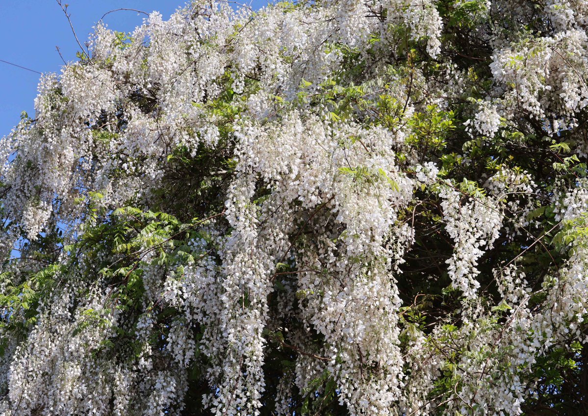 片柳弘史 tweet media