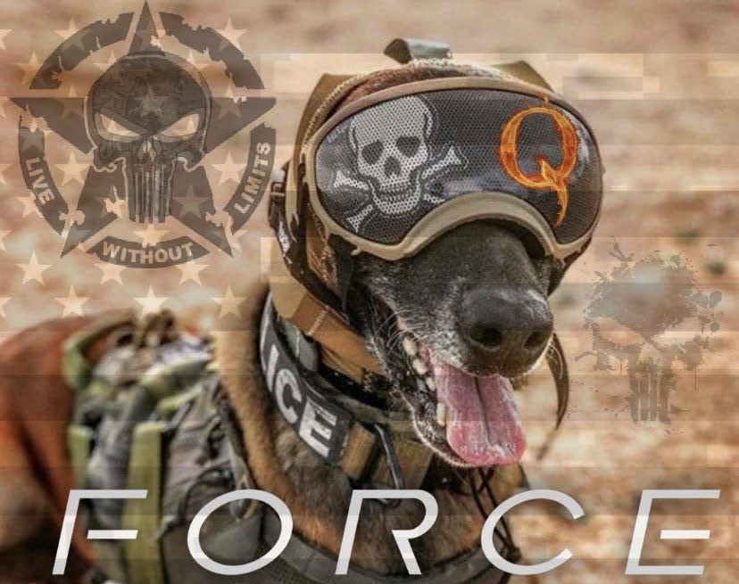 Skilledpro tweet media