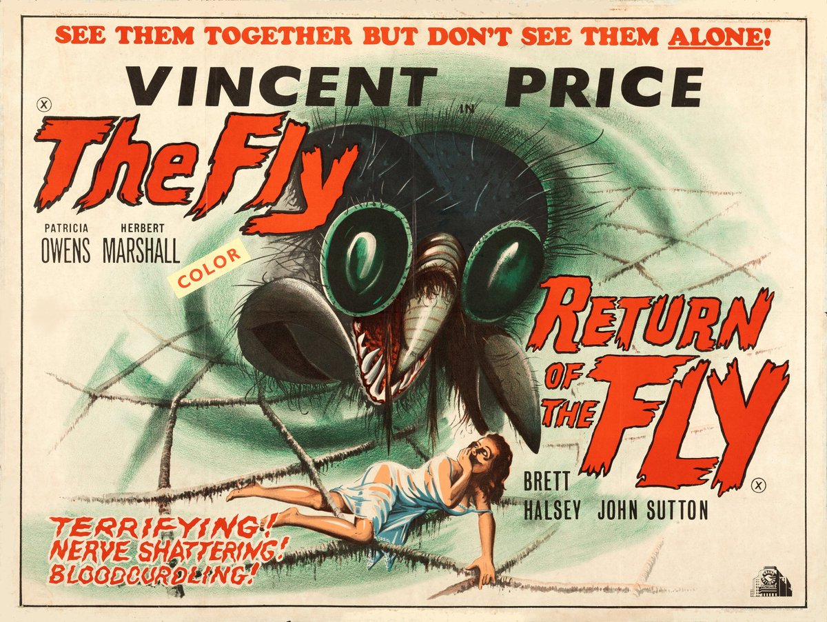 Terror_By_Night's tweet photo. The Fly / Return of the Fly (Grand National, R-1960s)
Double Bill British Quad (30" X 40")
.
#TerrorByNight #TheFly #ReturnOfTheFly #VincentPrice #ClassicHorror #VintageHorror #MonsterKid
. https://t.co/6goAkt8Eqb