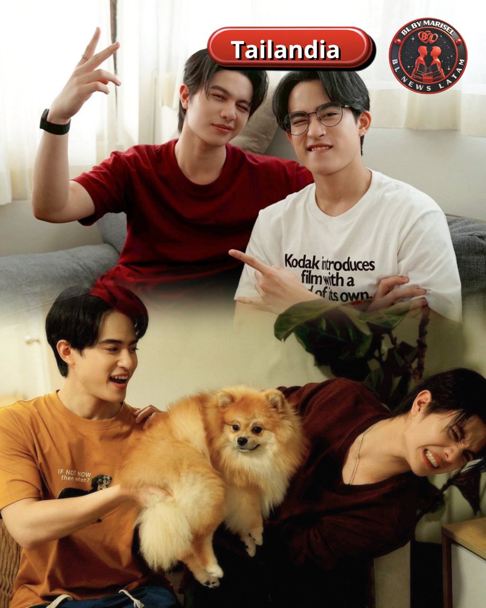 BL NEWS LATAM🎬📽🎞📄😄❤️‍🔥 tweet media