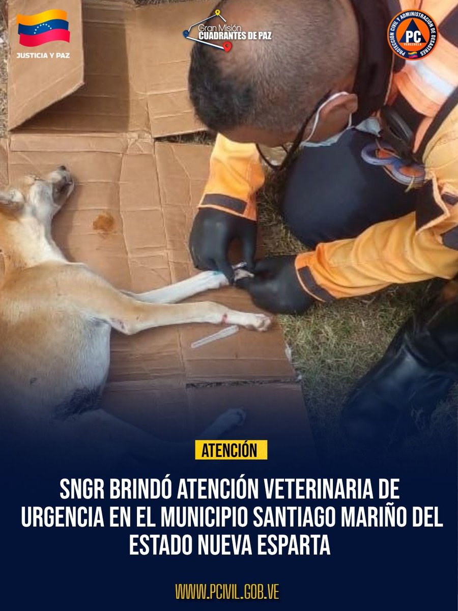 Protección Civil Venezuela tweet media