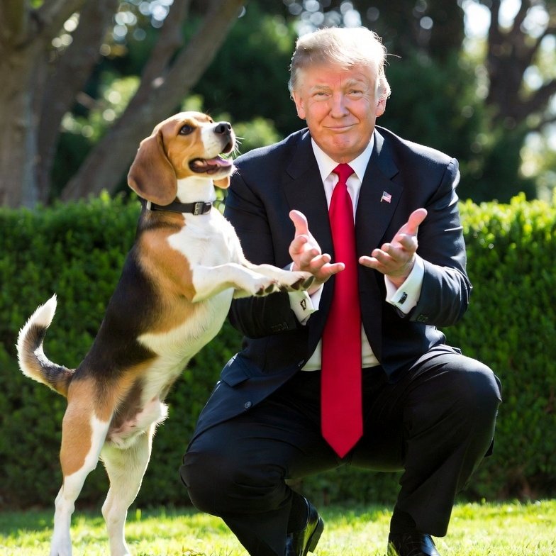 Trump Beagle tweet media