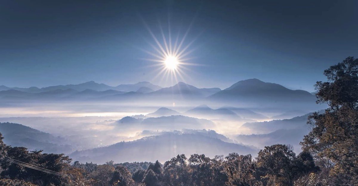 DD❤️/🕊️/DOGE tweet media