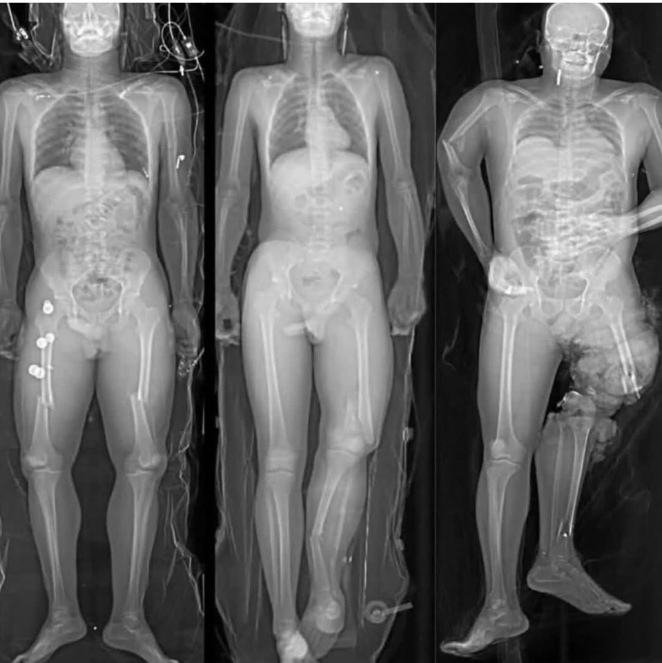 Leidy Castillo tweet media