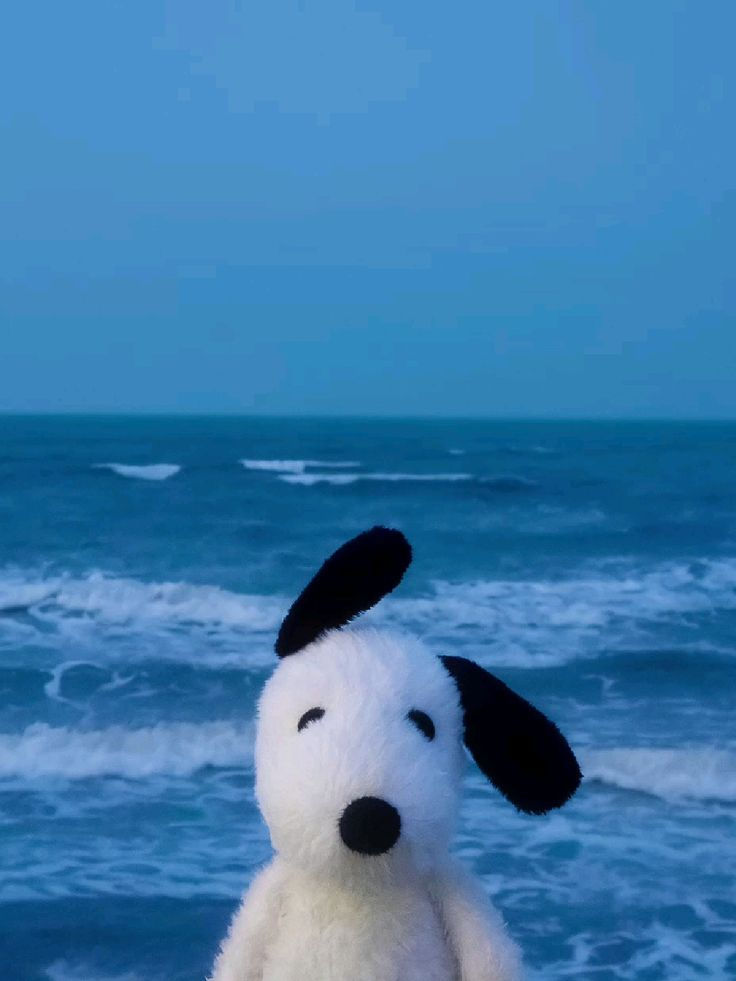 dado ⁷ ✧ VAI VER O BTS! tweet media