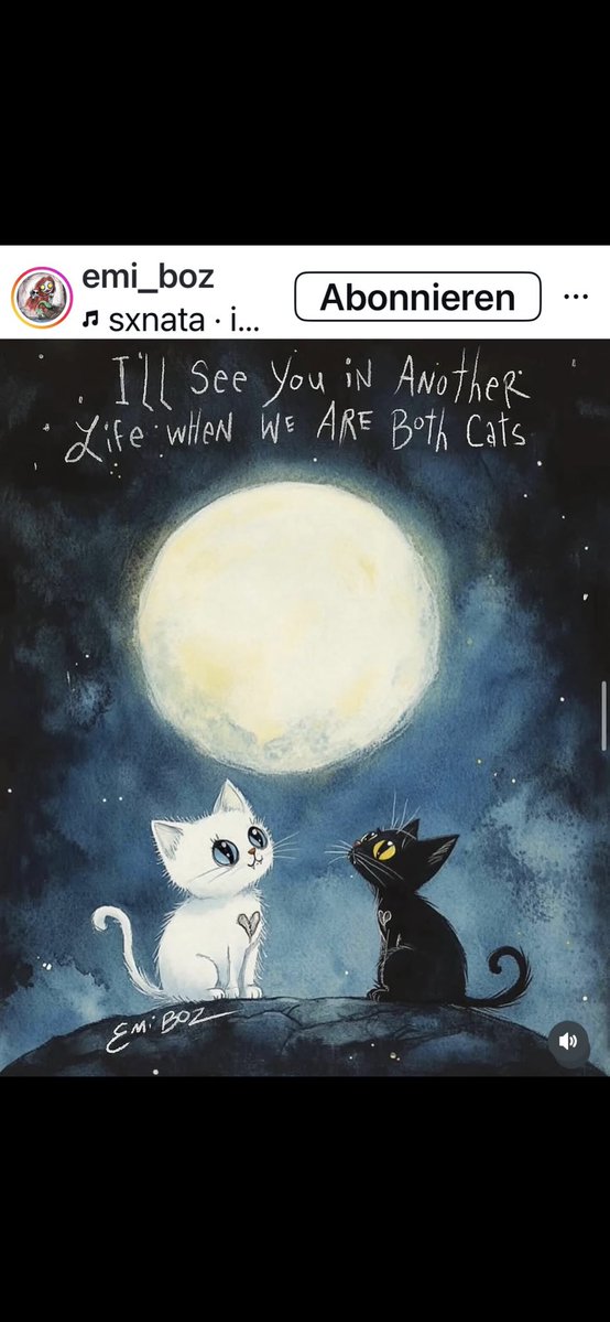 🖖🏼🏳️‍🌈kerstin dj📯  tweet media