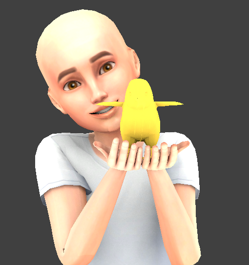 LibetSims's tweet photo. me dio tiempo de hacer una pose 🌟
#WIP https://t.co/yIblo2F5h4