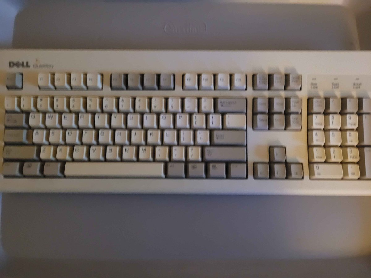 𝑻𝒂𝒏𝒈𝒍𝒆 𝑻. 𝑳𝒆𝒎𝒖𝒓 tweet media