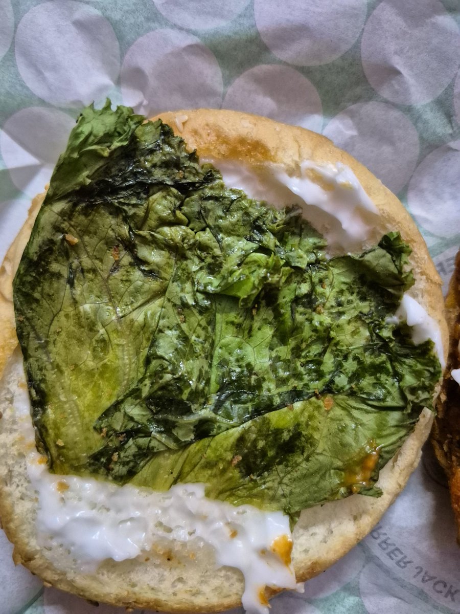 Aditya Singh tweet media