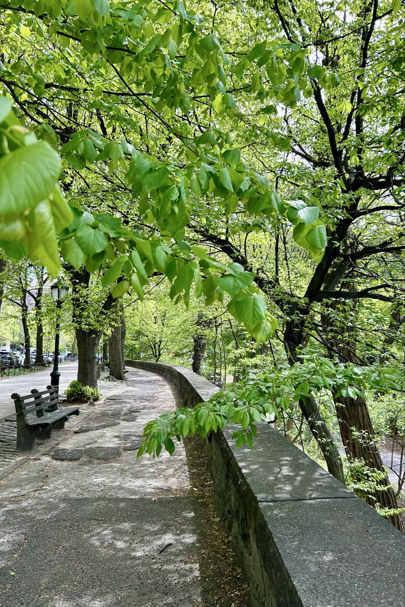 carolleisa's tweet image. #RiversideParkConservancy #UWS #W90s 
#ExplosionOfColor