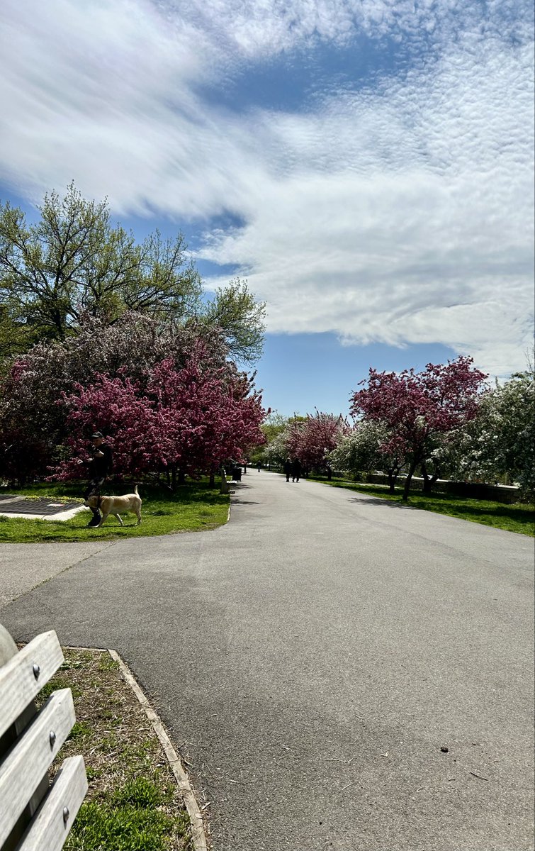 carolleisa's tweet image. #RiversideParkConservancy #UWS #W90s 
#ExplosionOfColor