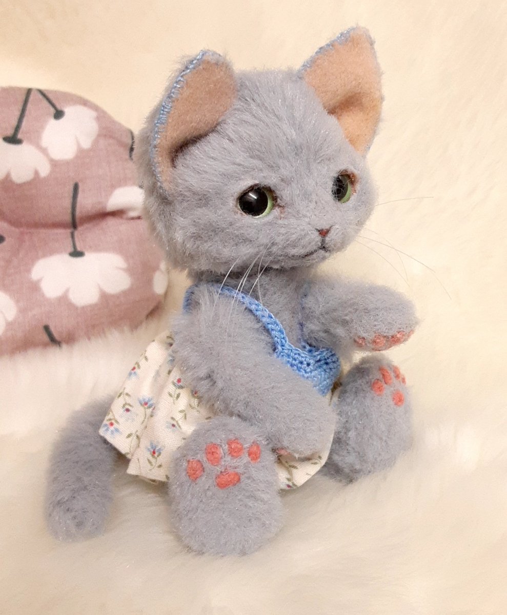 たぶん、ねこ tweet media