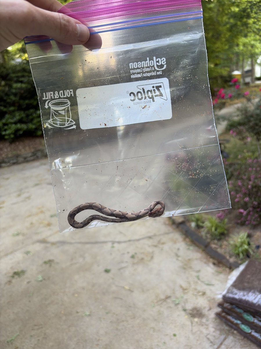 z - Jarv tweet media