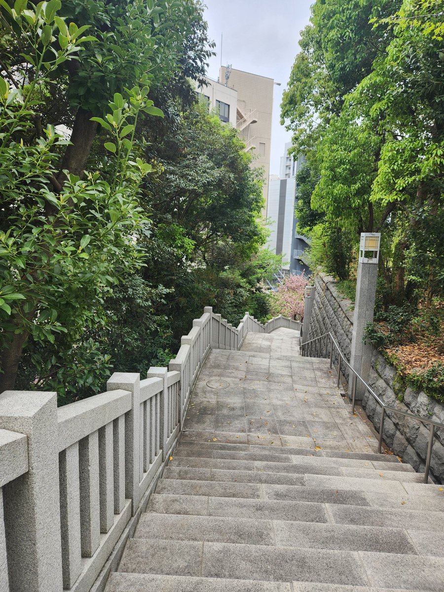 mymi(みみ) tweet media