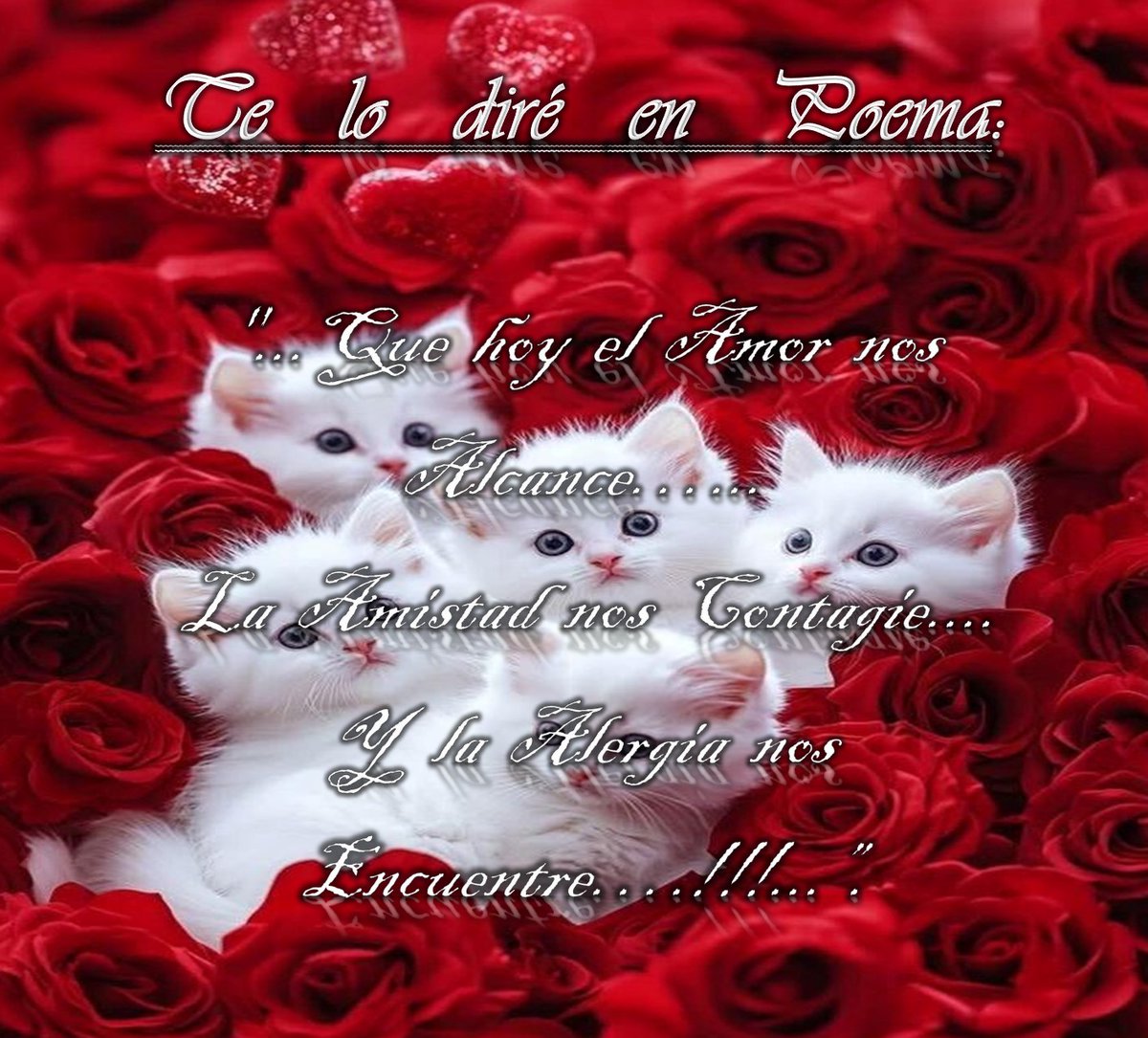 Te lo diré en Poema.:  💞💞💞💞

"...Que hoy el Amor nos
Alcance…...
La Amistad nos Contagie....
Y la Alergia nos
Encuentre…!!!...”.  💞💞💞💞