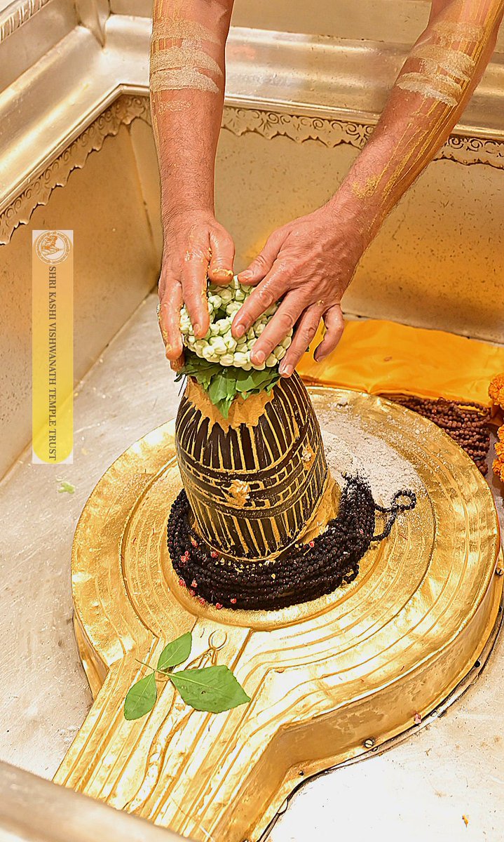 श्री काशी विश्वनाथ जी की मंगला आरती I
#kashivishwanath #kashi #sanatandharma #banaras