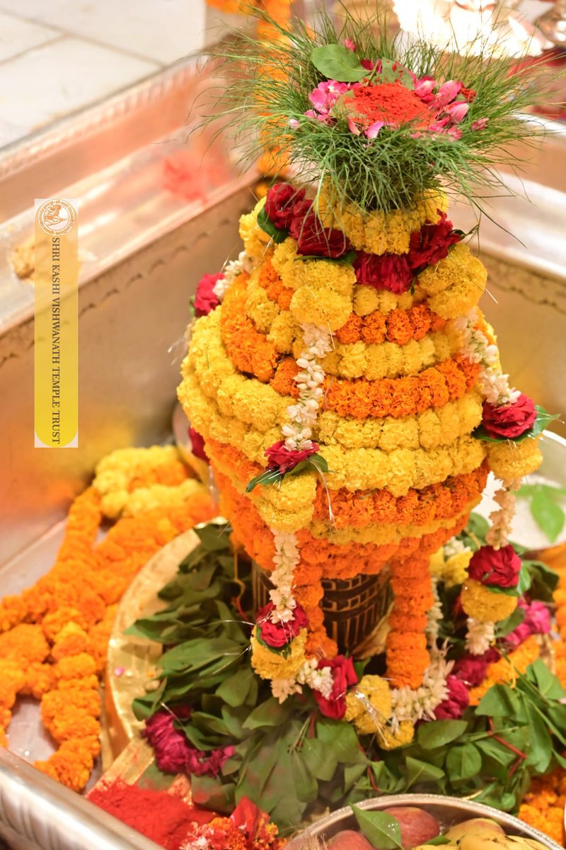 ShriVishwanath's tweet photo. श्री काशी विश्वनाथ जी की मंगला आरती I
#kashivishwanath #kashi #sanatandharma #banaras https://t.co/kxLjPSHoEK