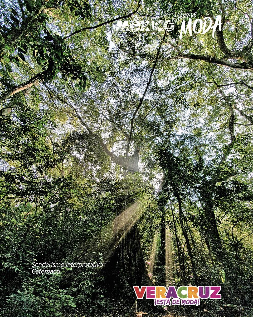 Veracruz Turismo tweet media