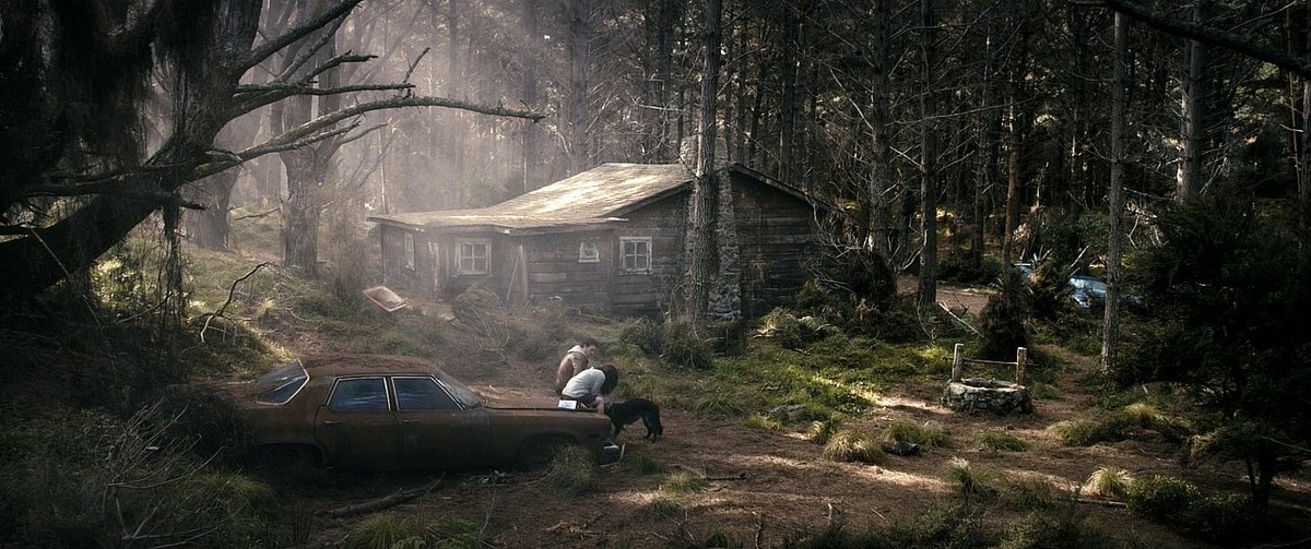 screencaps tweet media