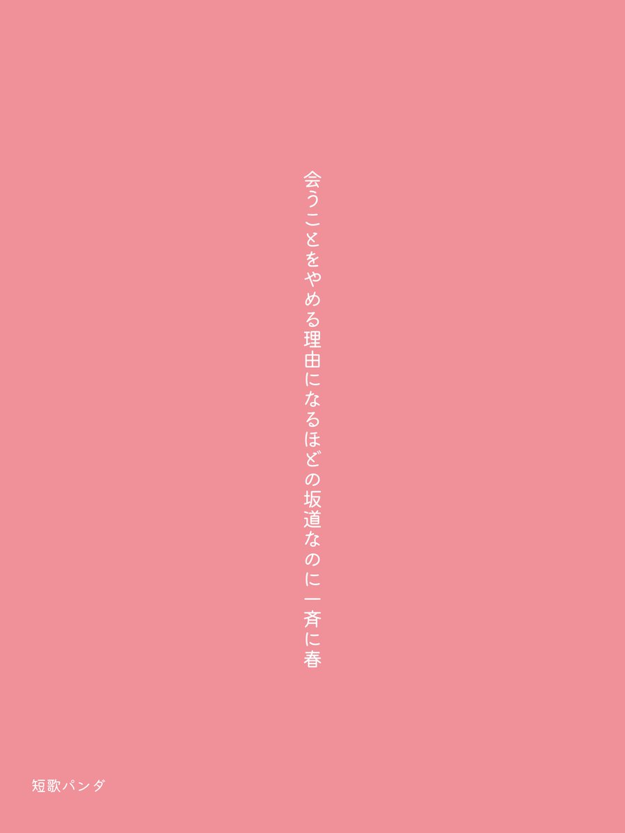 短歌パンダ tweet media