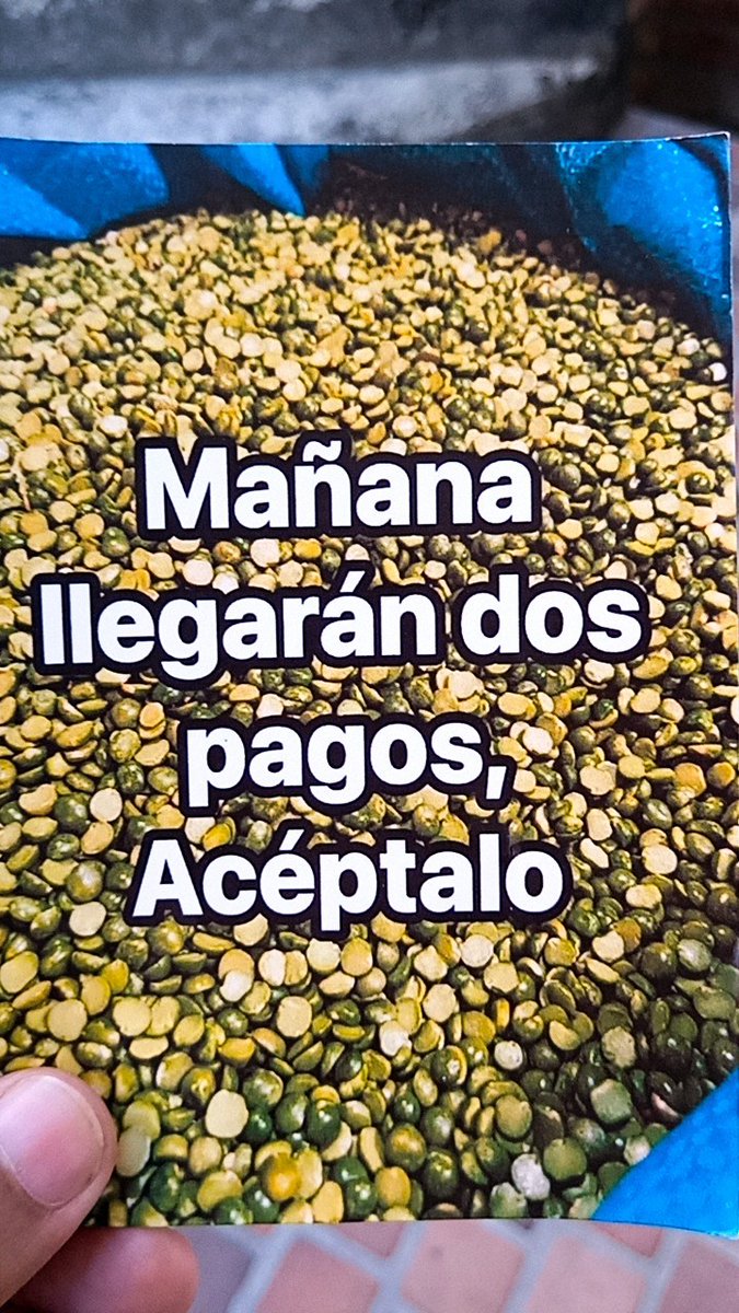 YouBall Z tweet media