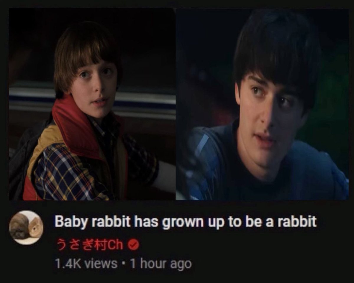 wren ✧˚₊‧ 🧁 tweet media