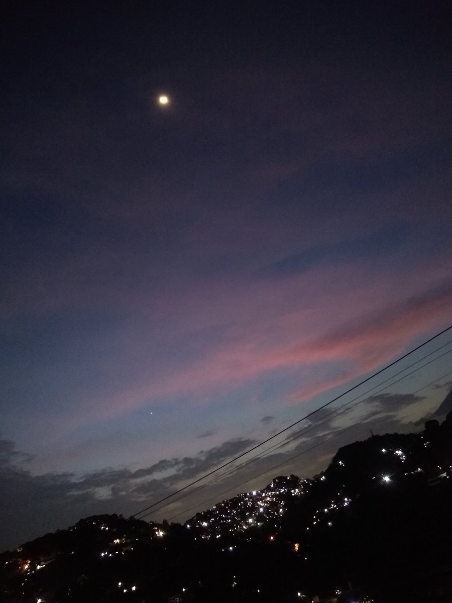 🍃✨♡𝒀𝒐𝒙𝒊♡✨🍃 tweet media