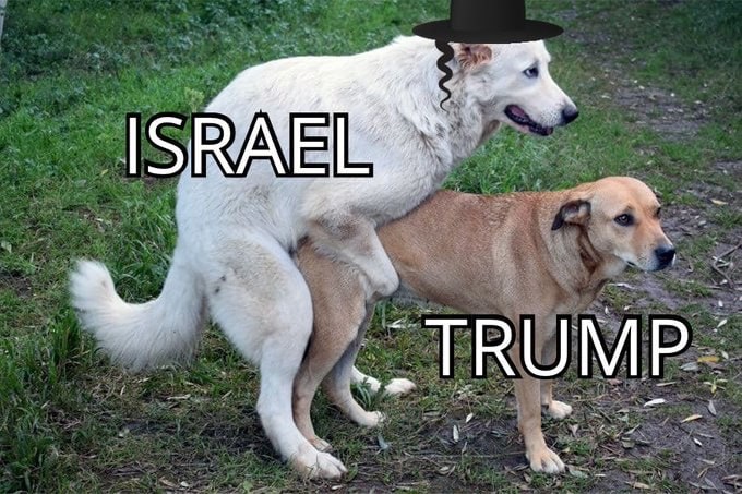 wastrel09 tweet media