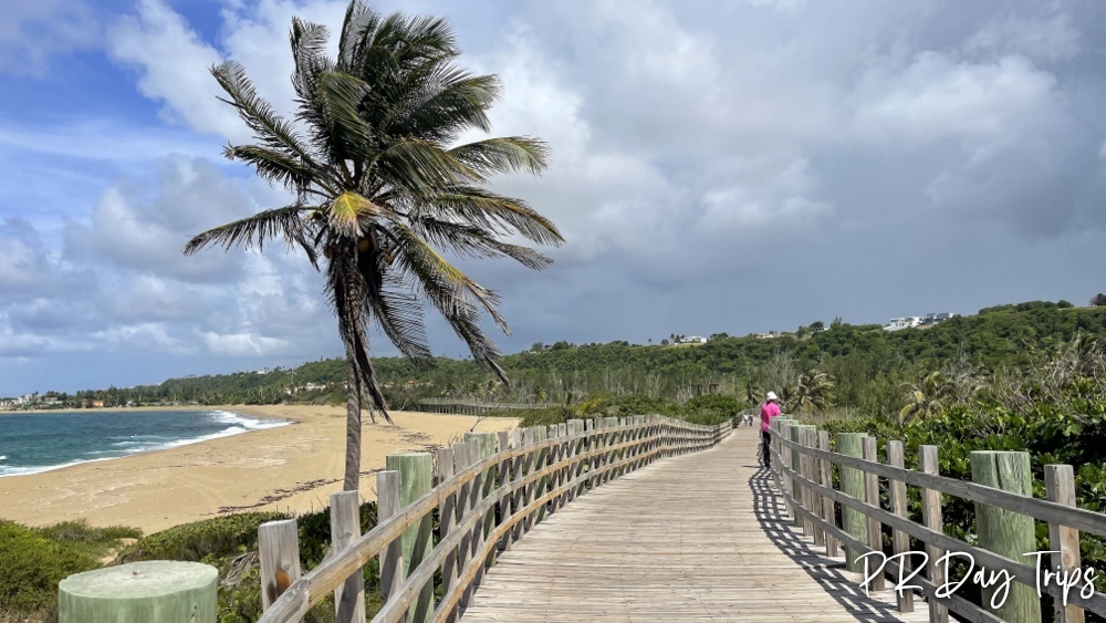 PuertoRicoDayTrips tweet media