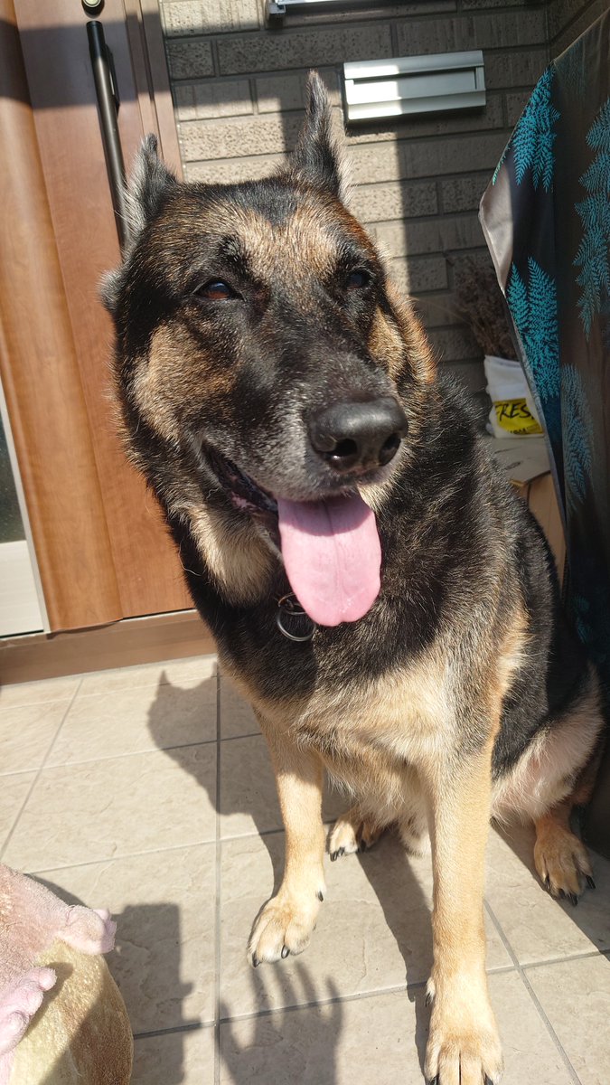 🅼🅰🆁🆂🅷🅰🅻 tweet media