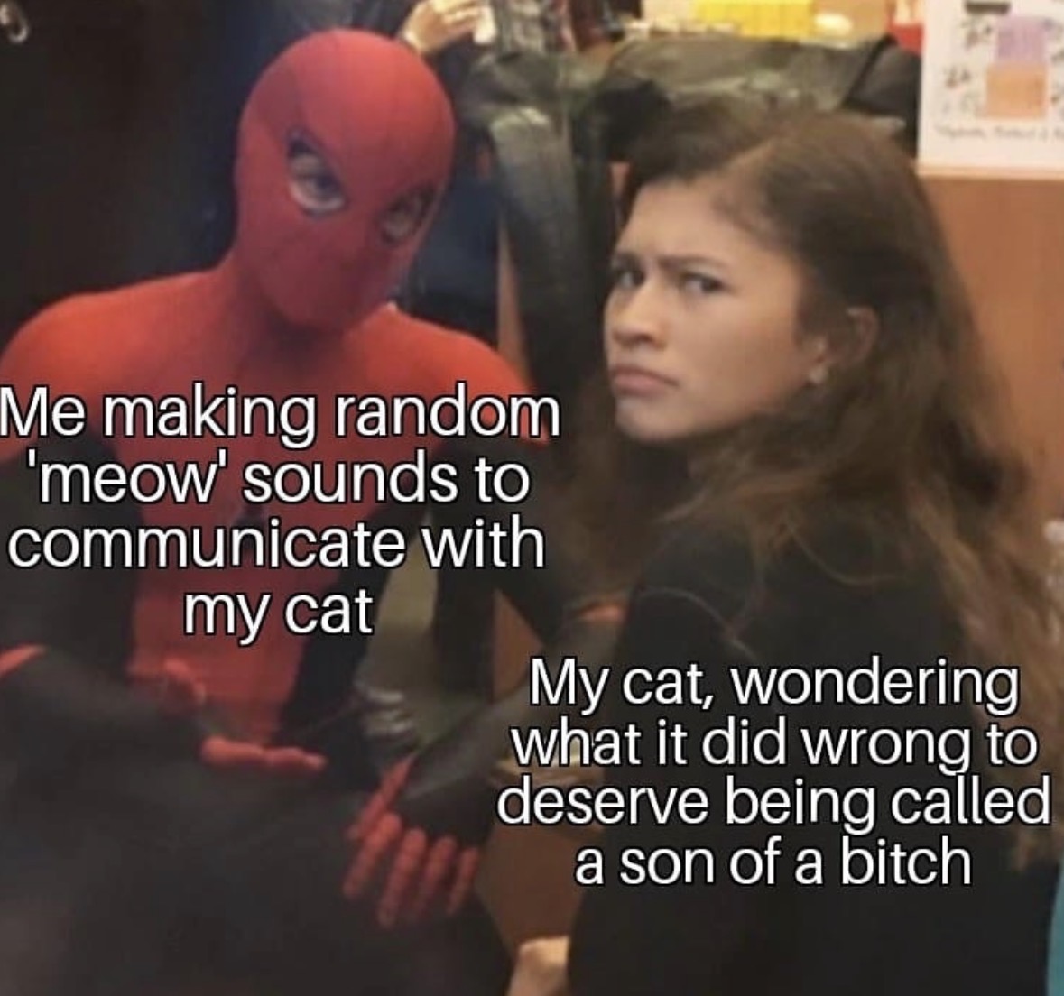 Respectful Memes tweet media