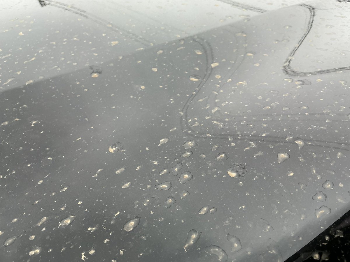 れいけん tweet media