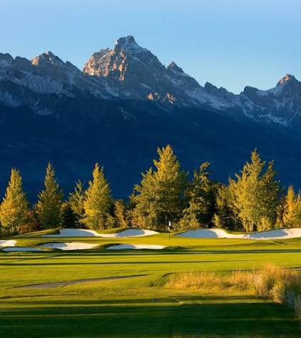 Chris Adair tweet media