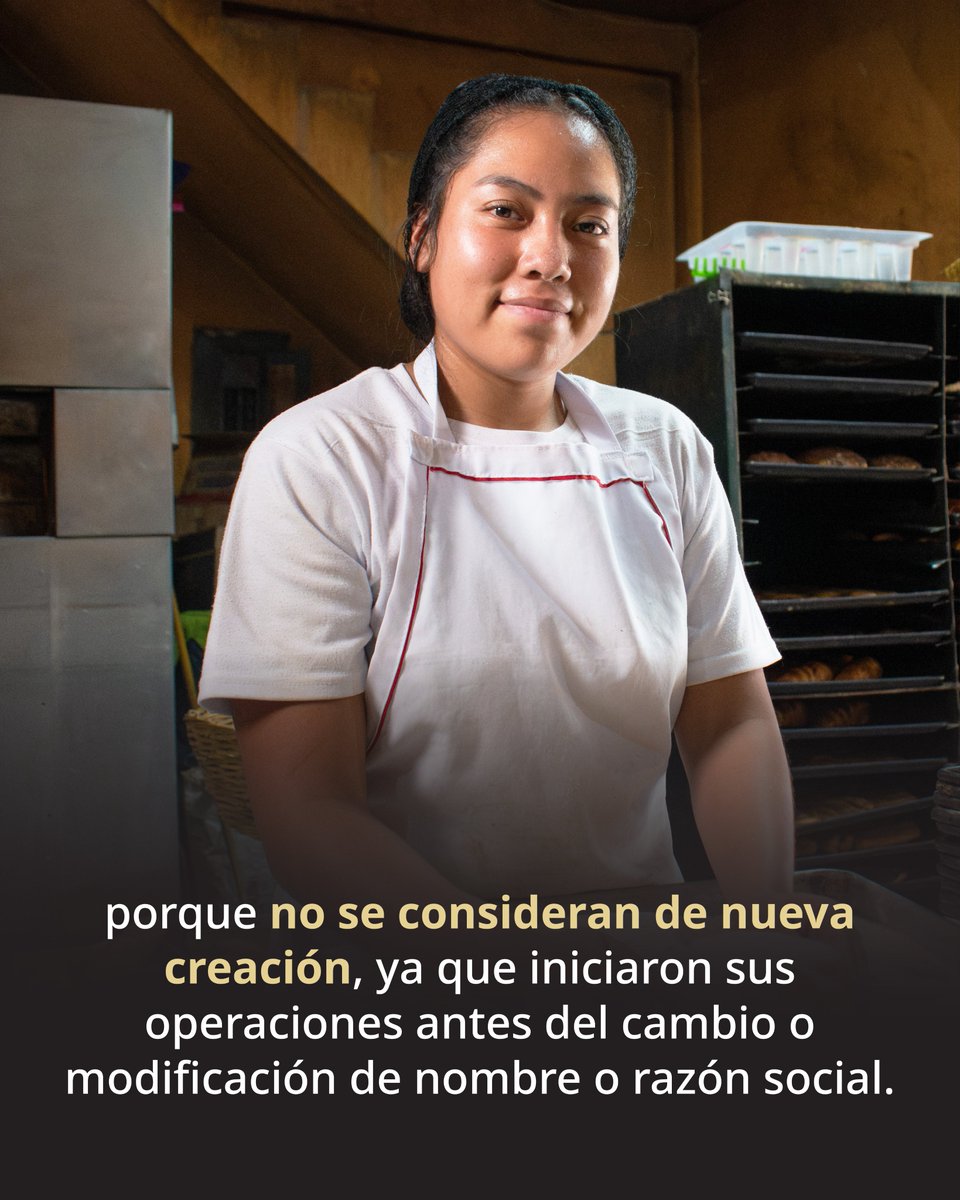 STPS_mx's tweet photo. El #RepartoDeUtilidades es un derecho de los trabajadores y una obligación que todas las personas empleadoras deben cumplir, incluso si la empresa cambia de nombre o razón social.

Si no las recibes a tiempo, llama a la @PROFEDET al 079 o denúncialo en: https://t.co/R7L5a6B39z https://t.co/lr1c0WApzu