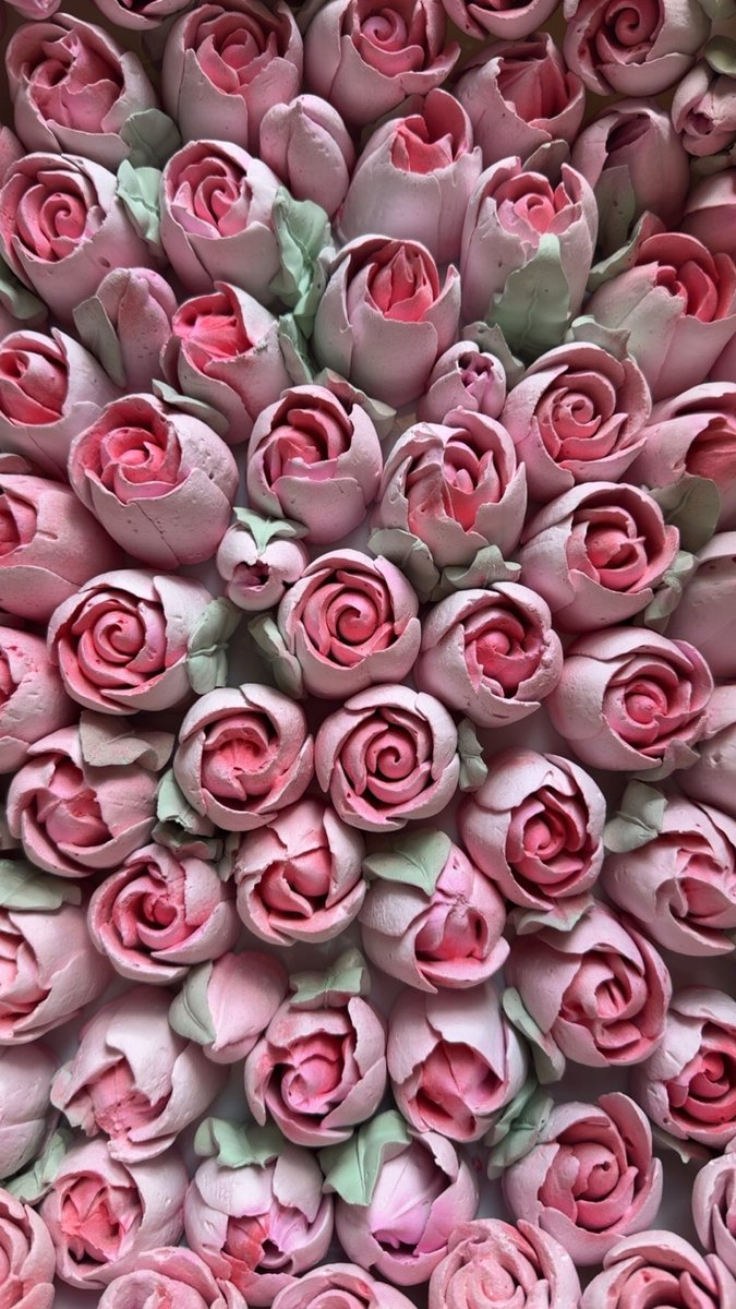 waa_d99's tweet photo. احب مساحتي المتوردة 🌸🩷
بُستاني الاستثنائي بكل المودة 🌷🩷 https://t.co/WBSXdYGmgK