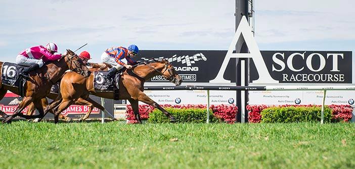 OzRace.com.au tweet media