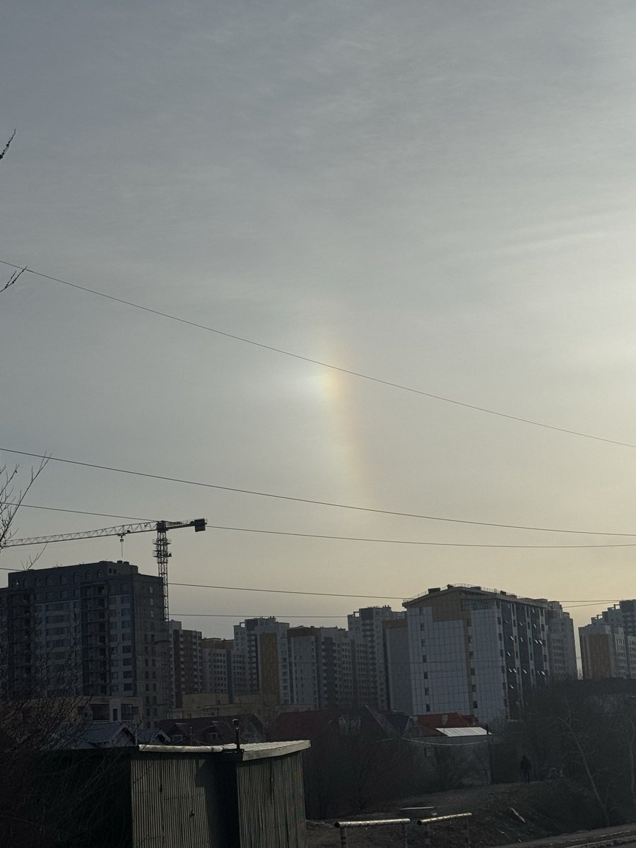 Degi 🩺 tweet media