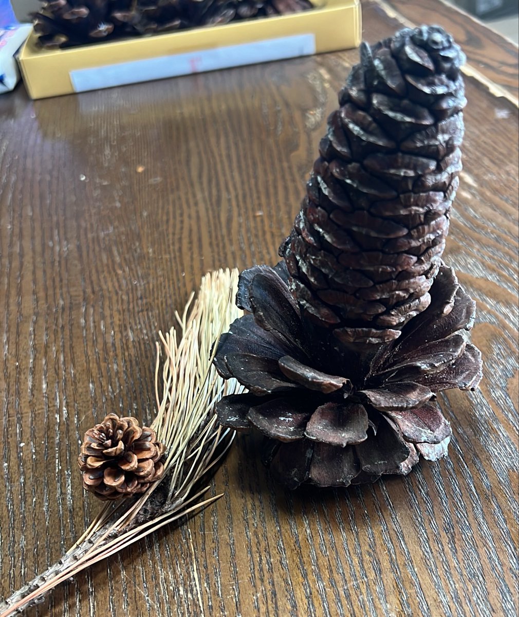 にゃんパパ tweet media