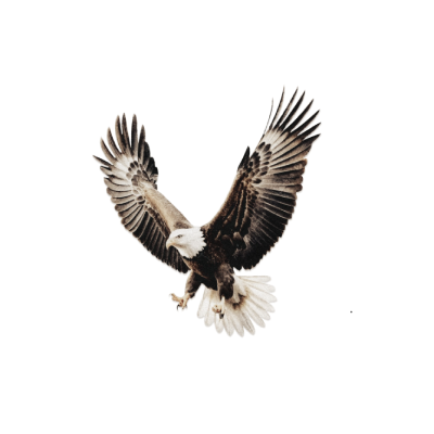 ‍ ‍ ‍ ⭐︎ ‍ ‍ ‍ ⋆ ‍ 𝐇𝙾𝙼𝙴𝙻𝙰𝙽𝙳𝙴𝚁﹒ tweet media