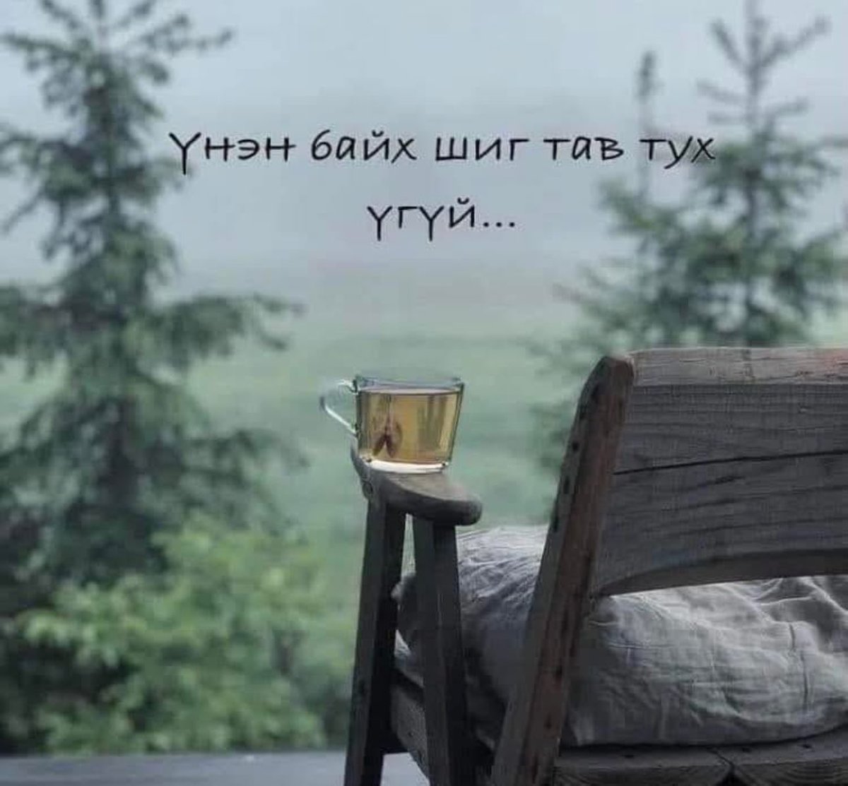 😍 Saruul 🌎🙋‍♀️ tweet media