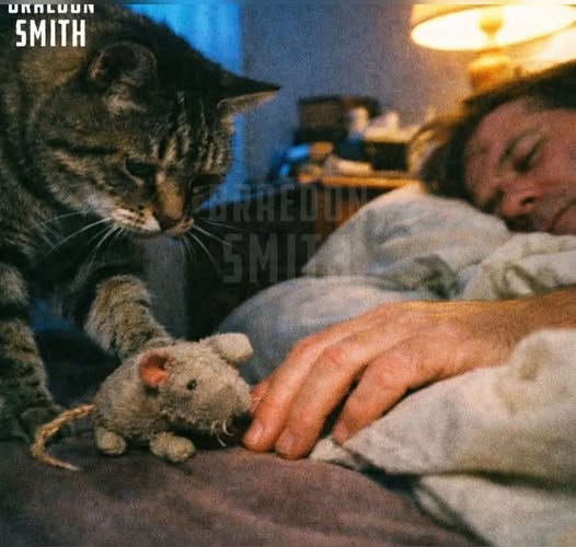 Kateri Seraphina tweet media