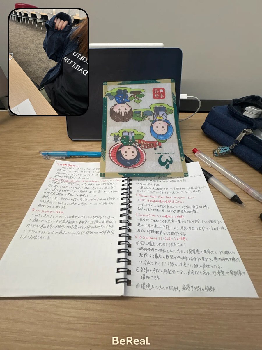 まろんさん tweet media